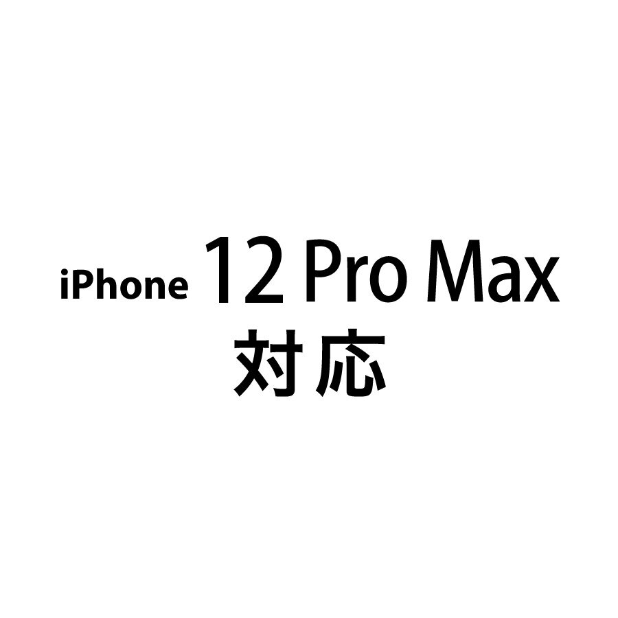 iPhone 12 Pro Max 対応