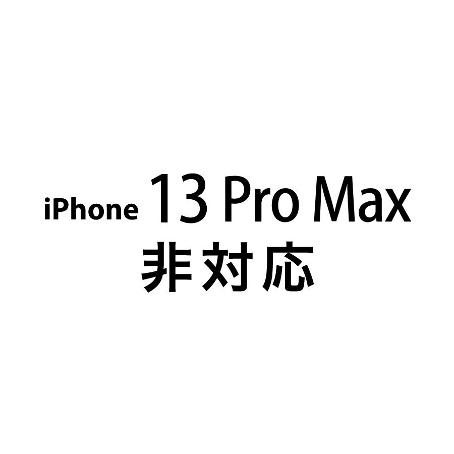 iPhone 13 Pro Max 非対応